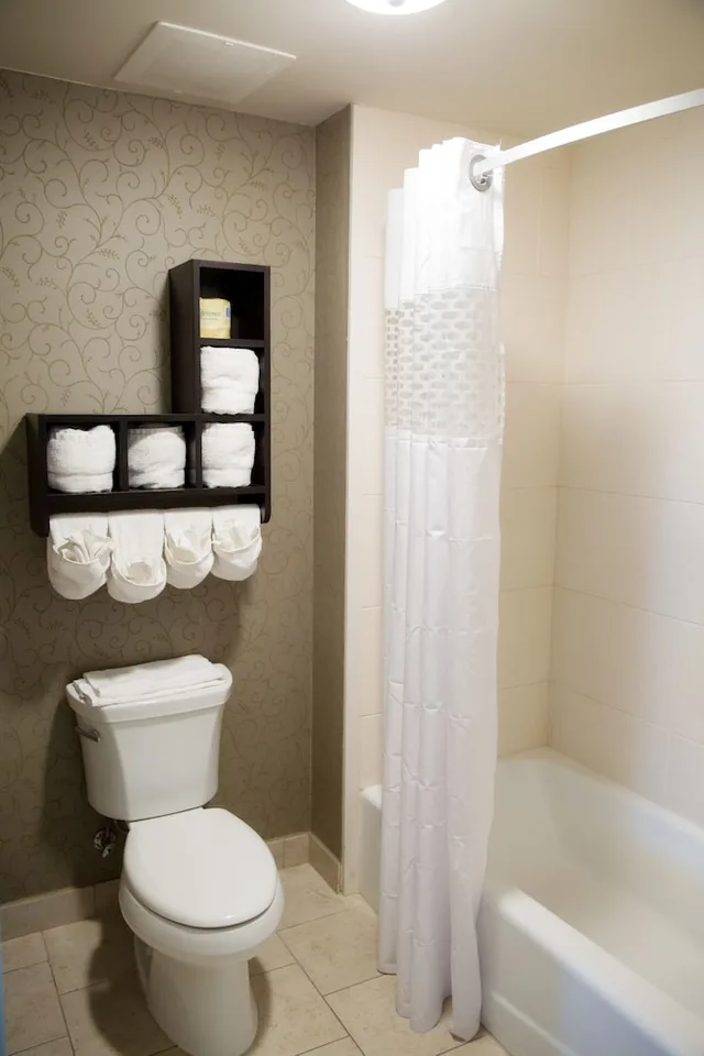 جناح استوديو بسرير كينج بشرفة مع أريكة، Hampton Inn And Suites Baton Rouge Downtown 4/4