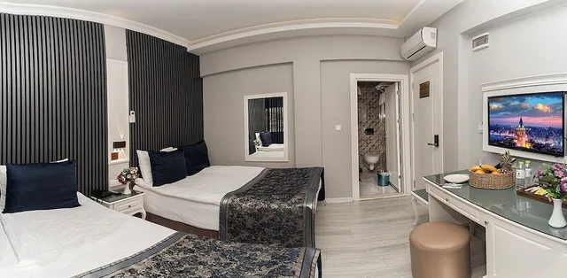 غرفة قياسية بسريرين منفصلين، Hotel Beyazit Palace 6/10