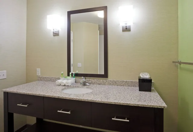 Standard, King Bed, Holiday Inn Express Hotel Suites Rogers 2/2