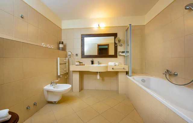 جناح كلاسيكي بإطلالة على الجبل، Hotel Montfort 8/9