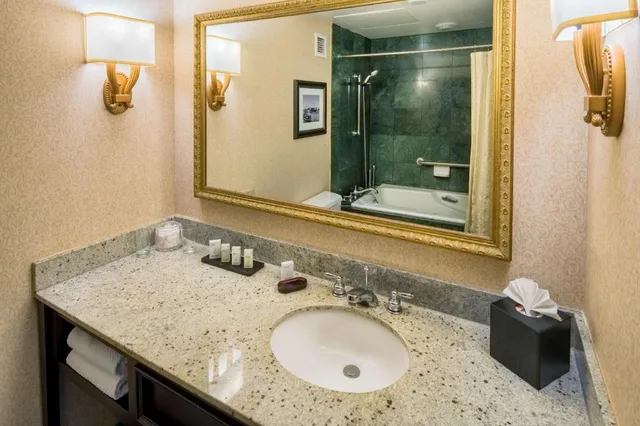 استوديو بسرير كينج مع أريكة لذوي الإعاقة، Embassy Suites By Hilton Portland Downtown 2/2