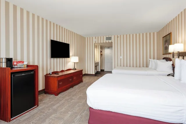 Room Assigned on Arrival, King Bed, Bayshore Resort 1/7