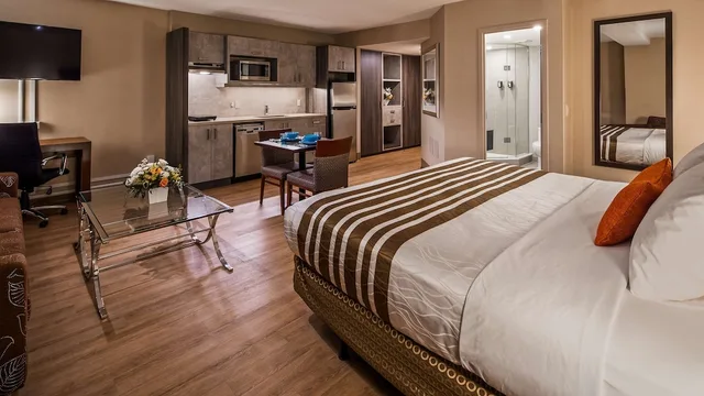 غرفة قياسية كبيرة بسرير كينج بمطبخ صغير، Best Western Plus Ottawa City Centre 2/9