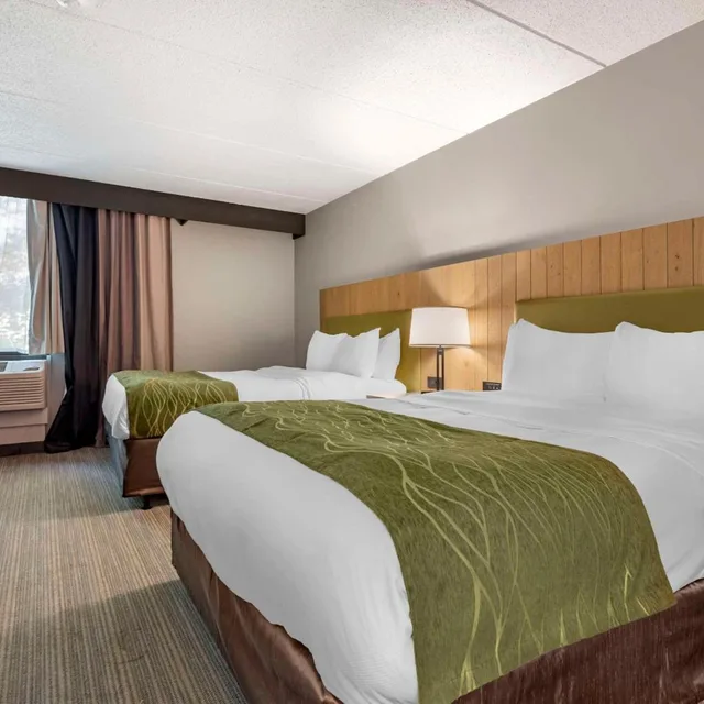 جناح تنفيذي بسريرين كوين مع أريكة، Comfort Inn & Suites Liverpool - Syracuse North 1/6
