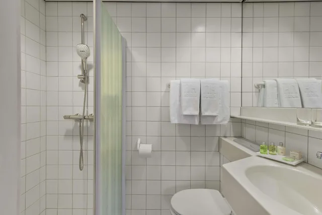 غرفة قياسية صغيرة، Nh Conference Centre Leeuwenhorst 4/6