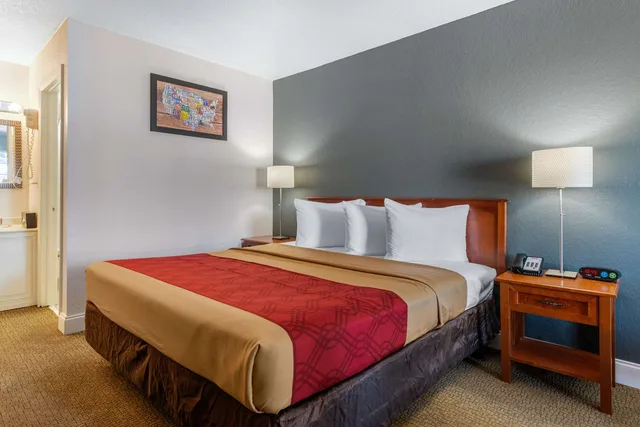 غرفة بسرير كينج، Econo Lodge Airport At Raymond James Stadium 1/4