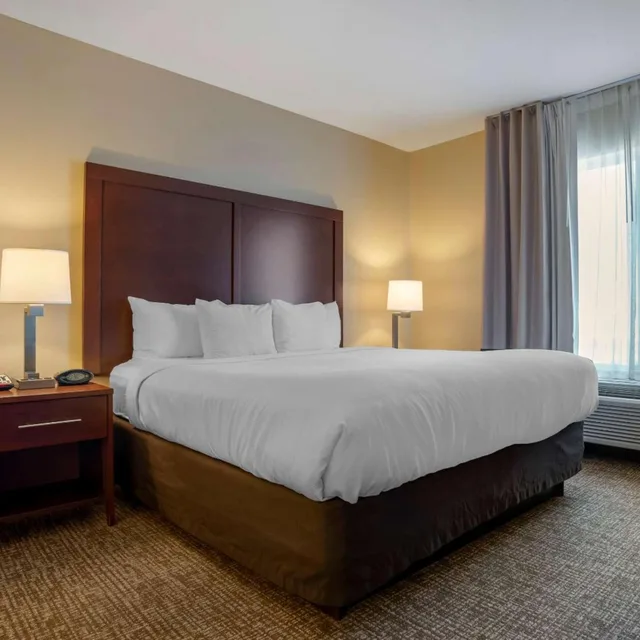 جناح بسرير كينج مع أريكة، Comfort Suites Foley - North Gulf Shores 2/9