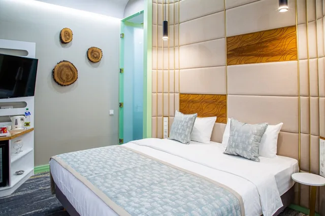 Standard, Double or Twin Bed, Kazzhol Park 1/10