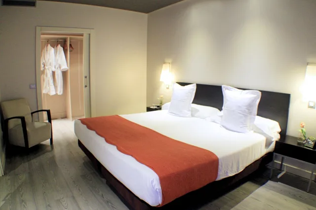 جناح تنفيذي بسرير كينج مع أريكة لذوي الإعاقة، Suites Viena Plaza de Espana 1/3