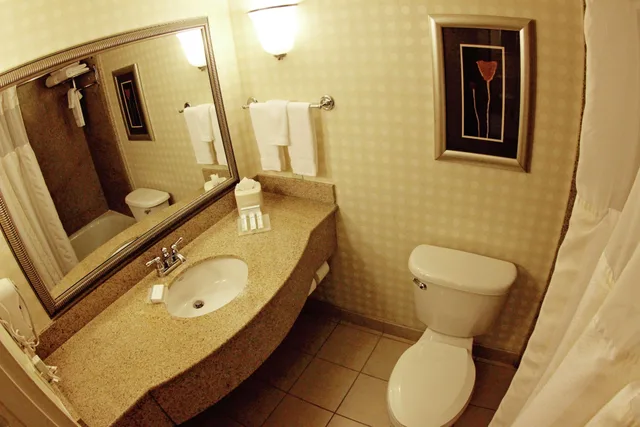 غرفة بسرير كينج لذوي الإعاقة، Hilton Garden Inn Jacksonville-Orange Park 2/3