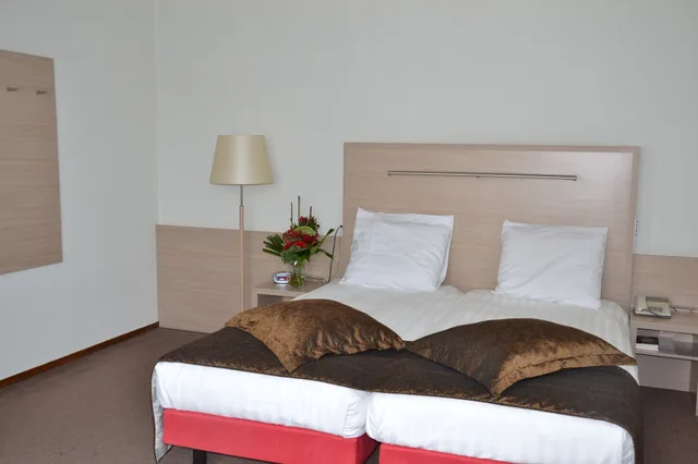 Standard, Twin Beds, Terrace, Fletcher Hotel-Restaurant De Witte Raaf 4/7