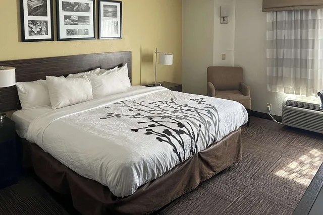 Room, King Bed, Accessible, Sleep Inn Wilson near I-95 1/4