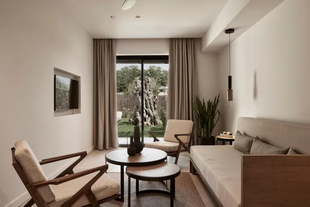 جناح بريميير بمسبح خاص، The Olivar Suites 5/9