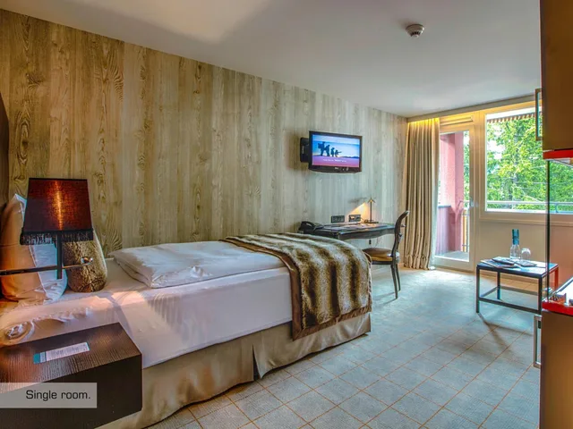 غرفة مفردة، Grischa Das Hotel Davos 2/5