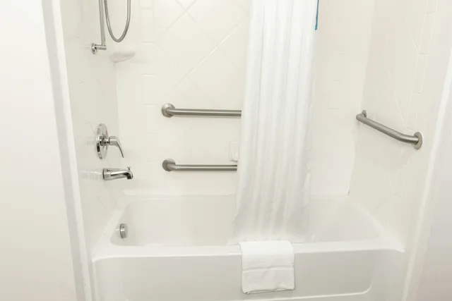 Studio, King Bed, Accessible, Hampton Inn & Suites Chesapeake-Square Mall 1/1