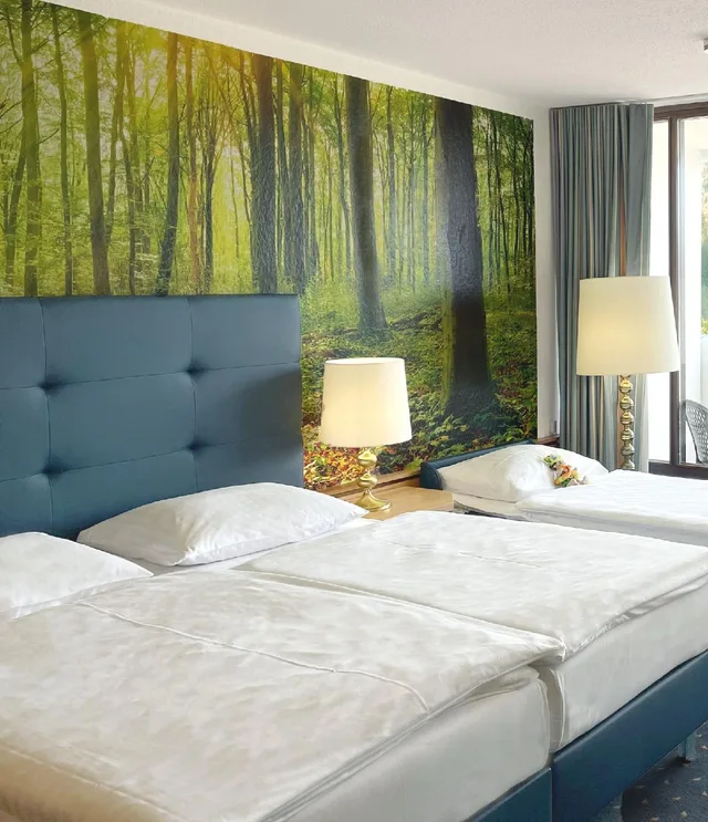 1 Bedroom, Panoramic, Valley View, Balcony، AHORN Harz Hotel Braunlage 1/1