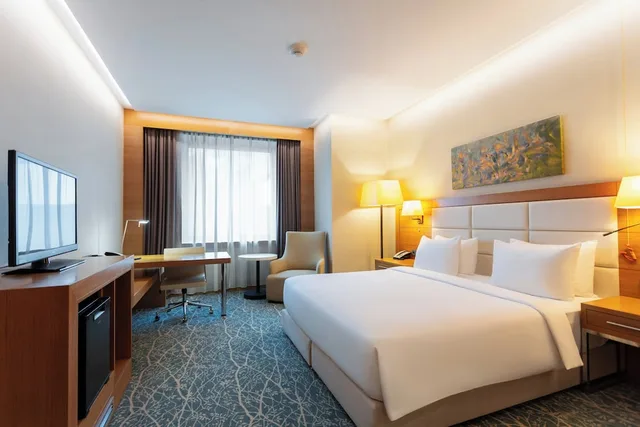 غرفة قياسية بسرير كينج لذوي الإعاقة، Holiday Inn Baku 1/10