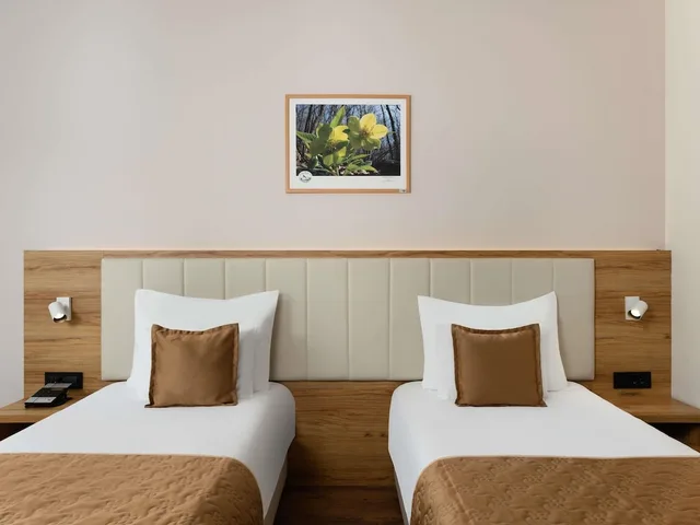 Standard, Twin Beds, Pool View, Balcony, Movenpick Resort and Spa Fruske Terme 4/6