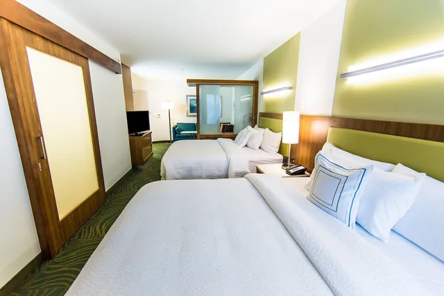 استوديو بسريرين كوين مع أريكة لذوي الإعاقة، SpringHill Suites Lumberton 1/7