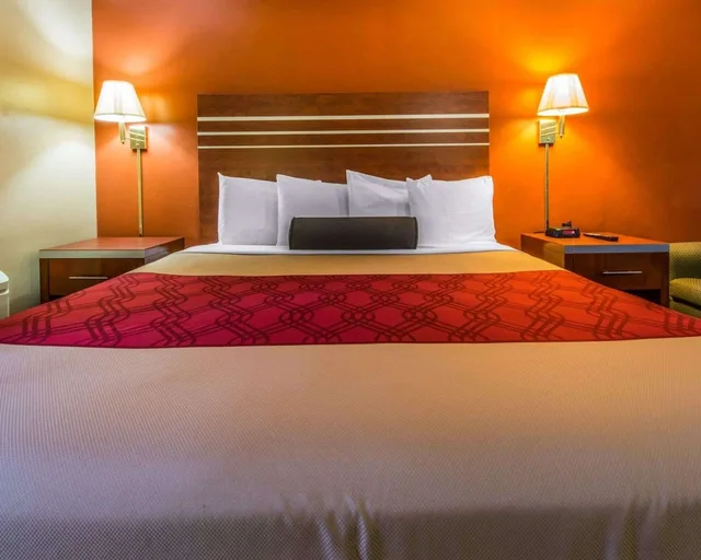 غرفة قياسية بسرير كينج، Econo Lodge Hermitage South 3/3