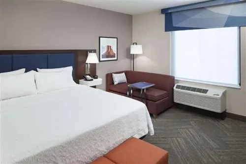 غرفة قياسية، Hampton Inn Suites Phoenix Downtown 1/1