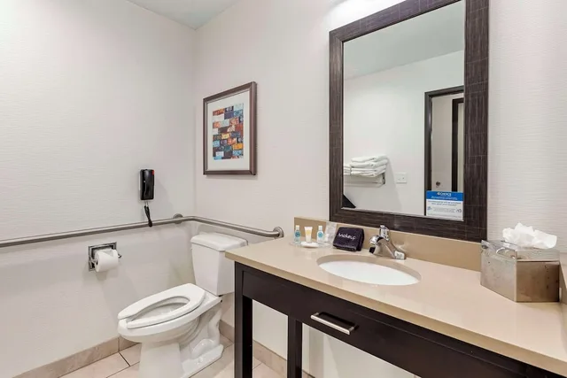 غرفة بسرير كينج لغير المدخنين لذوي الإعاقة، Comfort Inn and Suites Brighton Denver NE Medical Center 6/8