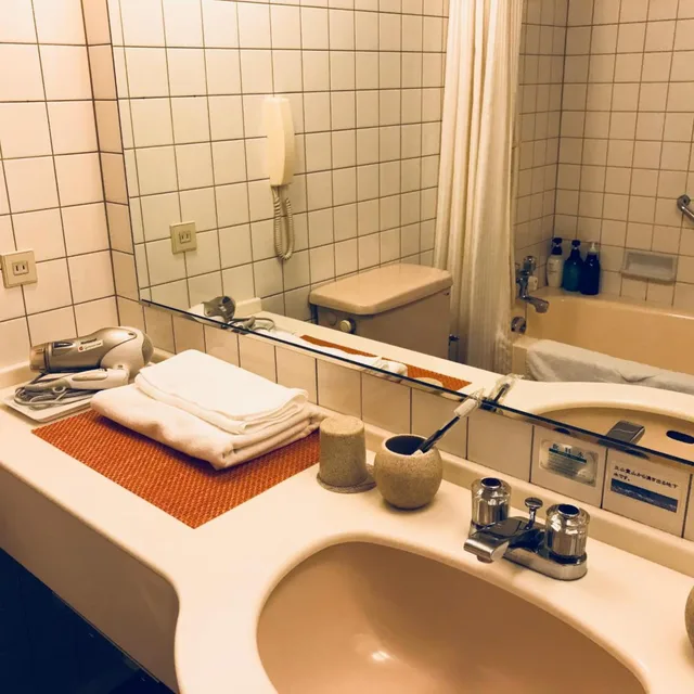 غرفة ديلوكس مفردة، Hotel Granmirage 4/4