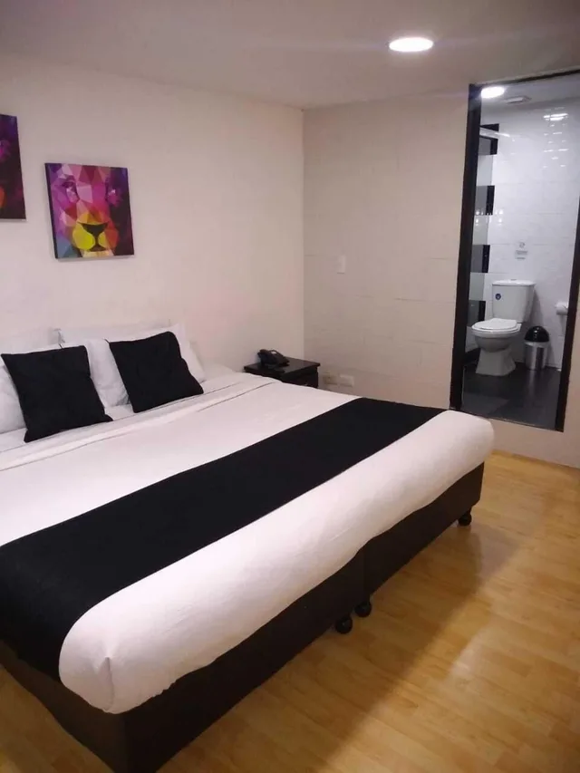 غرفة قياسية بسرير كينج، Hotel Santiago Plaza 2/4