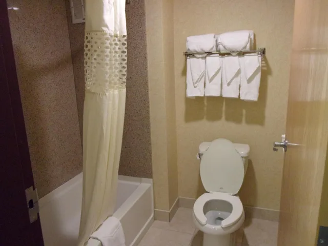 استوديو بسرير كينج بحوض جاكوزي، Hampton Inn Suites Bolingbrook 6/6