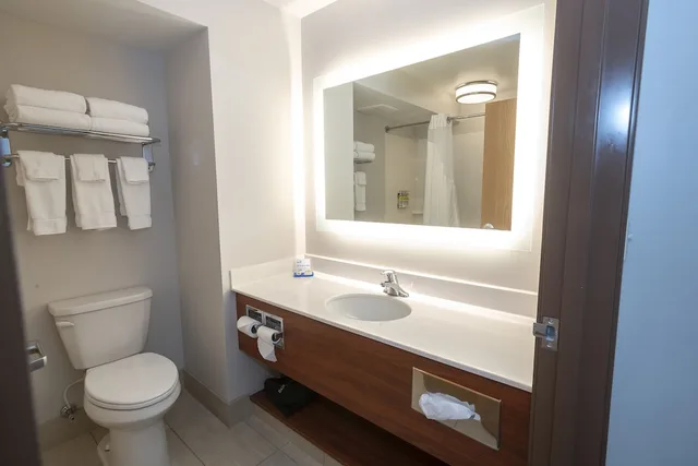غرفة قياسية بسرير كينج، Holiday Inn Express Hotel Suites Iron Mountain 3/3
