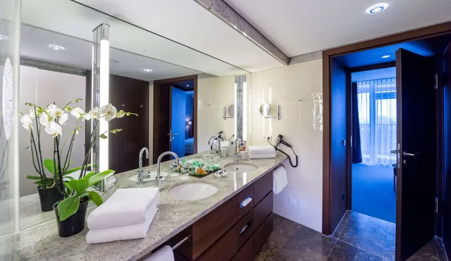 جناح جونيور بسريرين منفصلين، Dorint Hotel An Der Kongresshalle 6/6