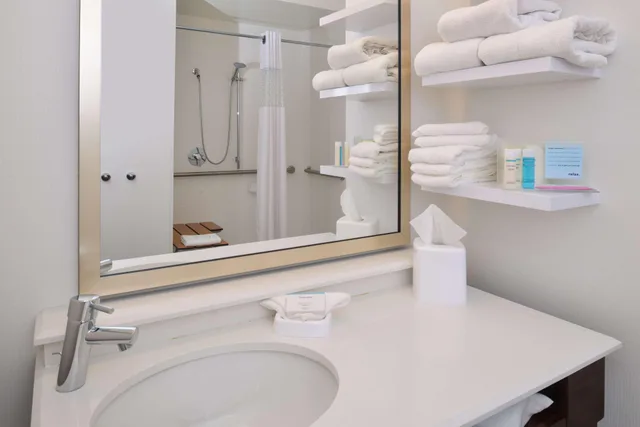 غرفة بسرير مزدوج لذوي الإعاقة، Hampton Inn Carbondale 3/4