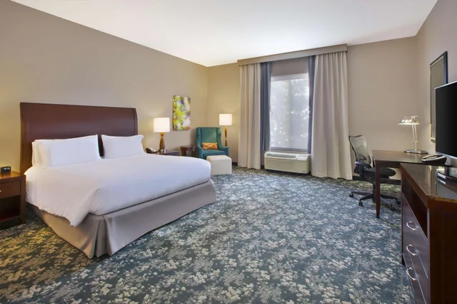 غرفة بريميوم، Hilton Garden Inn Detroit Novi 1/2