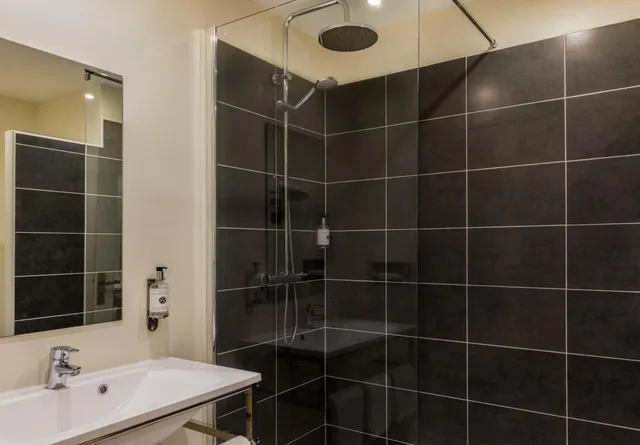 جناح جونيور بسرير كينج مع أريكة، Best Western Le Galice Aix Centre-ville 6/8