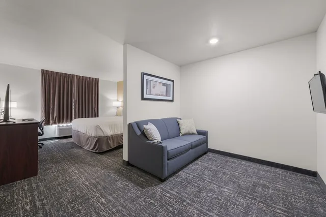 استوديو بسرير كينج مع أريكة، Cobblestone Hotel & Suites - Newport 6/9