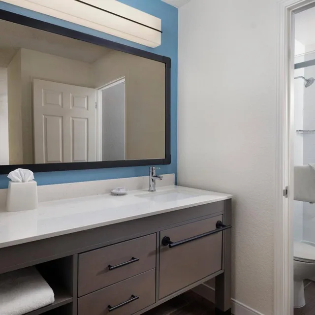 استوديو بسرير كوين مع أريكة بحوض استحمام لذوي الإعاقة، Residence Inn By Marriott Silicon Valley Sunnyvale Ii 7/7