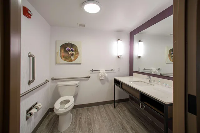 جناح رئاسي بسرير كينج بغرفة نوم واحدة، Hilton Garden Inn Rapid City 3/4