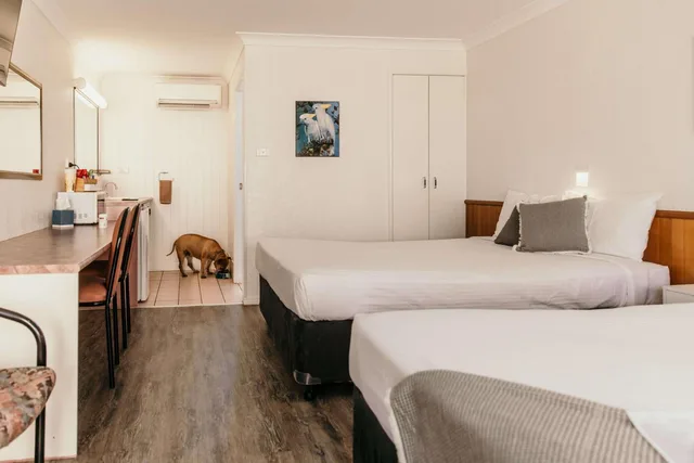 غرفة بسريرين كوين يُسمح فيها بالحيوانات الأليفة، Outback Motel Mt Isa 4/9