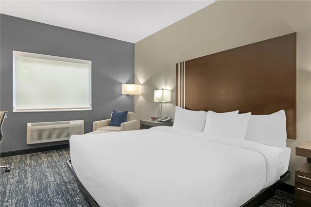 غرفة بسرير كينج بحوض استحمام لذوي الإعاقة، Best Western Plus Washington Hotel 2/4