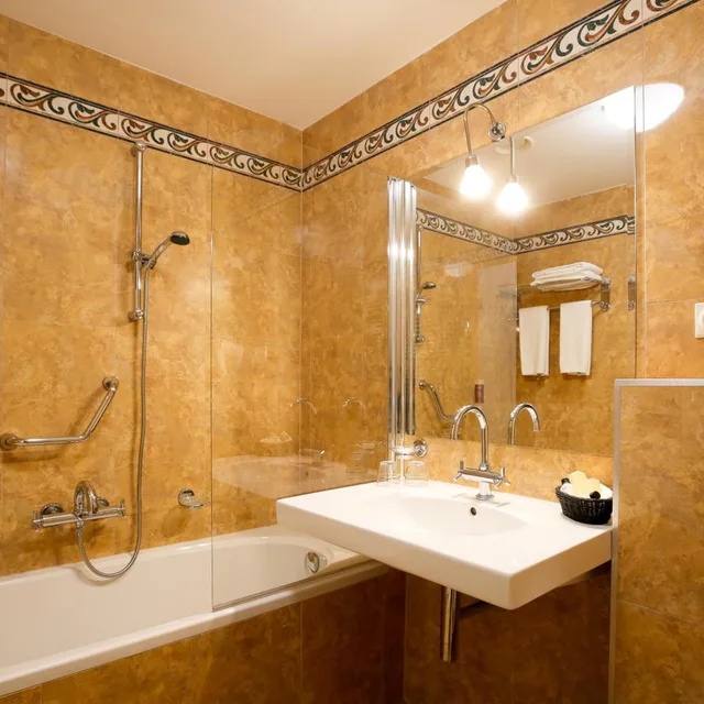 غرفة مفردة، Hotel Dvorak Tabor 5/8