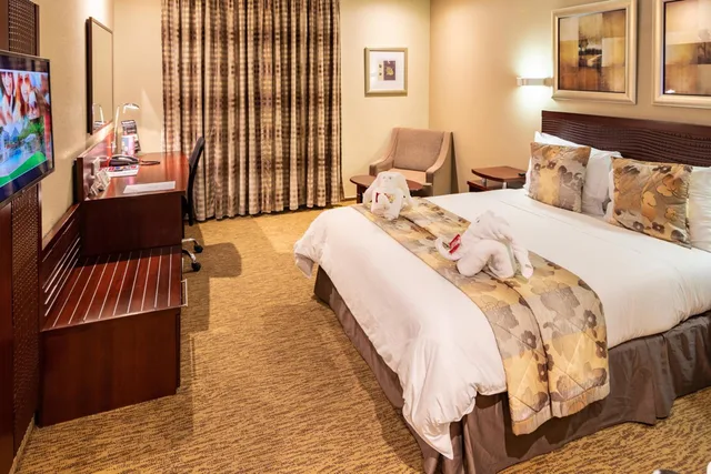غرفة بسرير مزدوج لذوي الإعاقة، City Lodge Hotel Johannesburg Airport Barbara Road 7/10