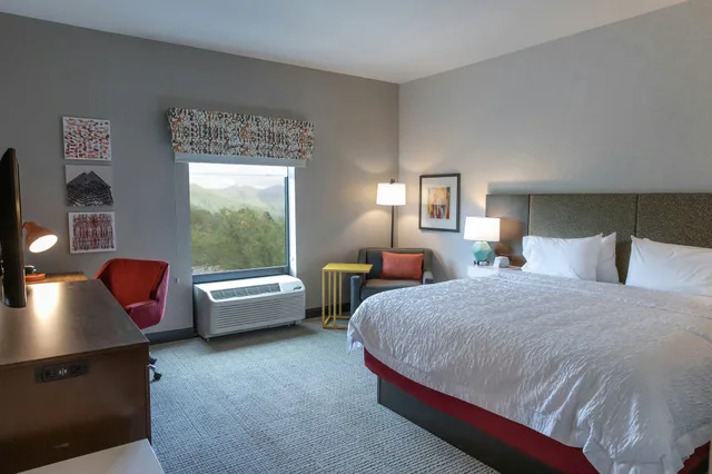 غرفة بسرير كينج لذوي الإعاقة، Hampton Inn Black Mountain 1/3