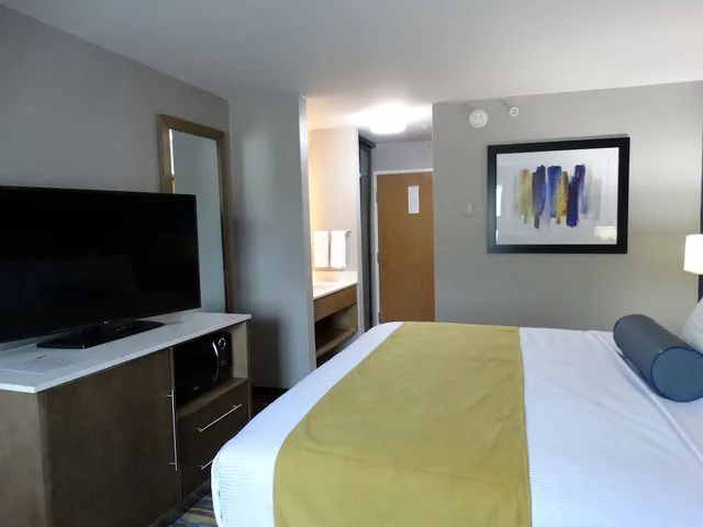 غرفة قياسية بسرير كينج، Best Western Dewitt 3/8