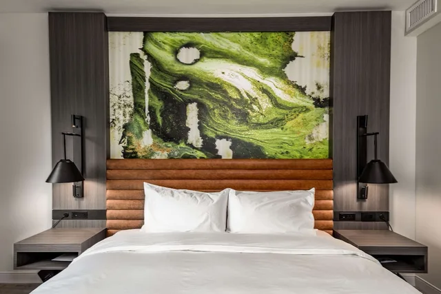 غرفة ديلوكس بسرير كينج، Hyatt Centric Charlotte/Southpark 1/1