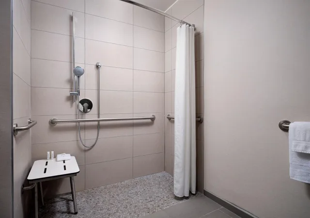 غرفة بسرير مزدوج لذوي الإعاقة، Sheraton Grand Rapids Airport Hotel 4/4