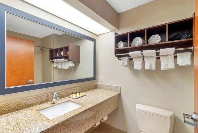 غرفة قياسية بسرير كينج، Best Western Plus McDonough Inn & Suites 4/4