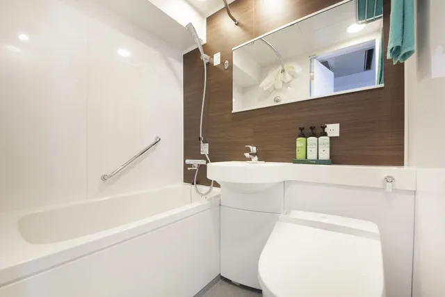 غرفة بسرير نصف مزدوج، Atsugi Urban Hotel 13/13