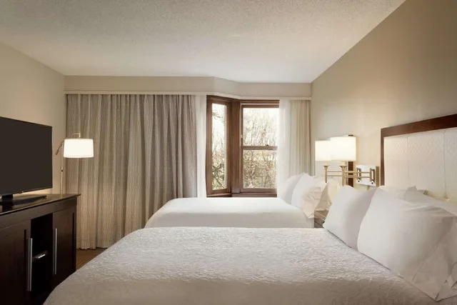 جناح بسريرين مزدوجين بحوض استحمام لذوي الإعاقة، Hampton Inn and Suites Springdale 1/3