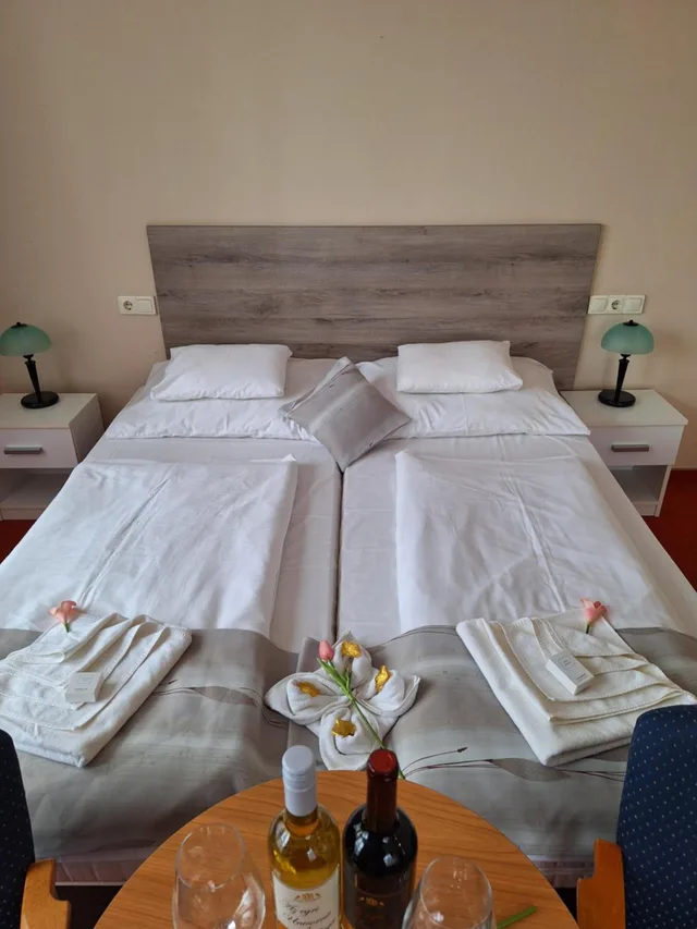 غرفة بسريرين منفصلين، Hotel Unicornis 9/10