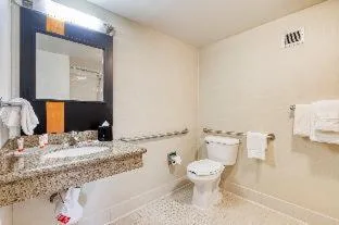 غرفة، Super 8 by Wyndham Dallas Love Field Airport 7/7